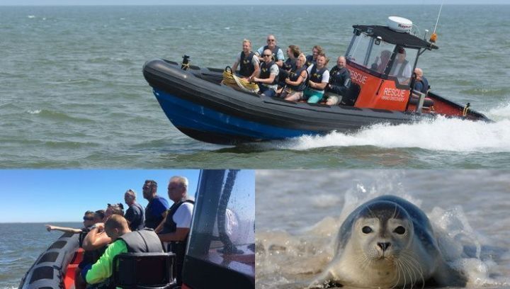 Robben expedition Schiermonnikoog