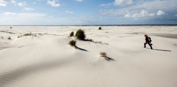 Nelly Verschuur aus Alphen aan den Rijn