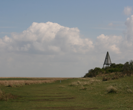 Kobbeduinen