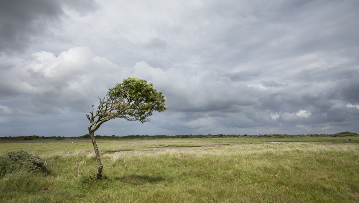 VVV Schiermonnikoog