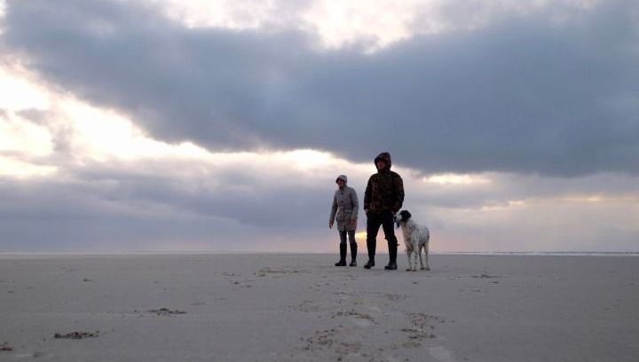 Ferien mit Hund auf Schiermonnikoog