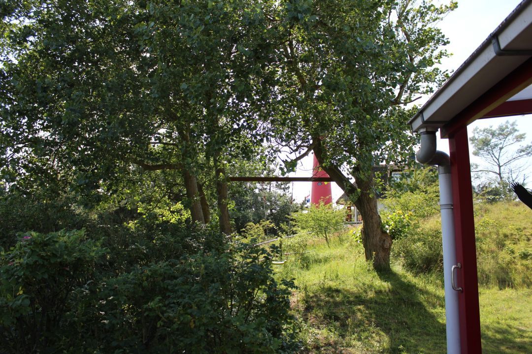 Ferienhaus Winterkoning – Ruhiger Dünenurlaub für 4 Personen