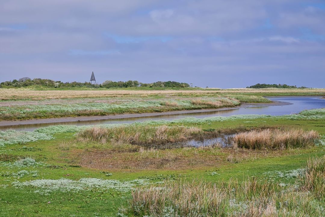 Oebele (voorheen Strandloper)