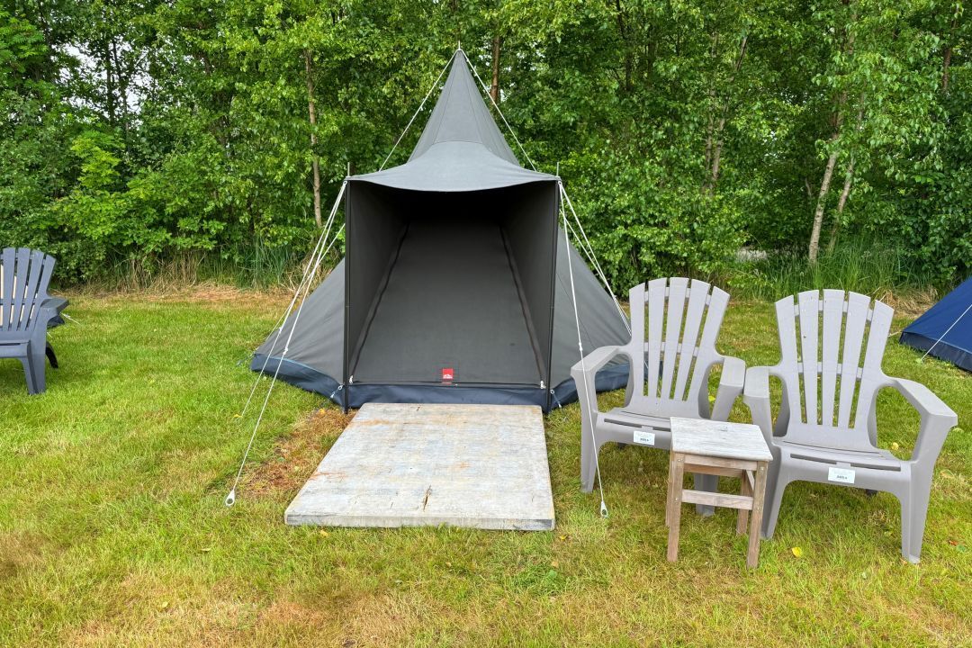 Dünenzelt Zeemelkdistel auf Schiermonnikoog