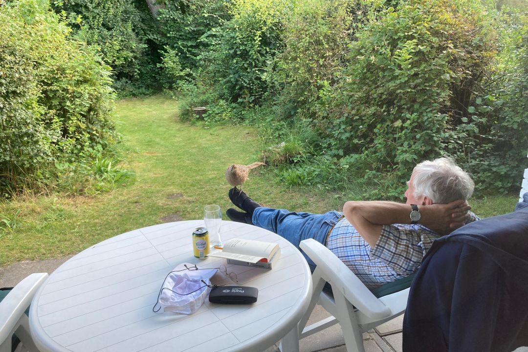 De Witte Bezem | Ruhiges Familienferienhaus in den Dünen