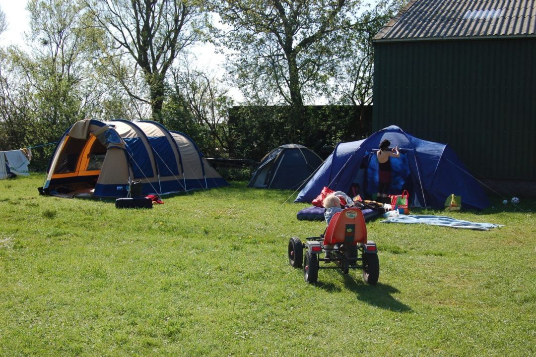 Camping Springfield – Ruhiger Bauernhofurlaub auf Schiermonnikoog