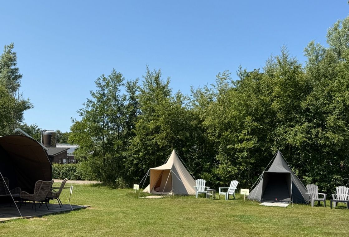 Dünenzelt Zeemelkdistel auf Schiermonnikoog