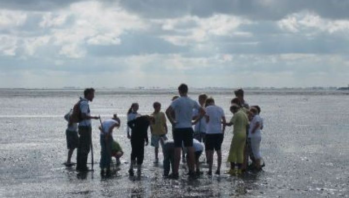 Wattwanderung Schiermonnikoog