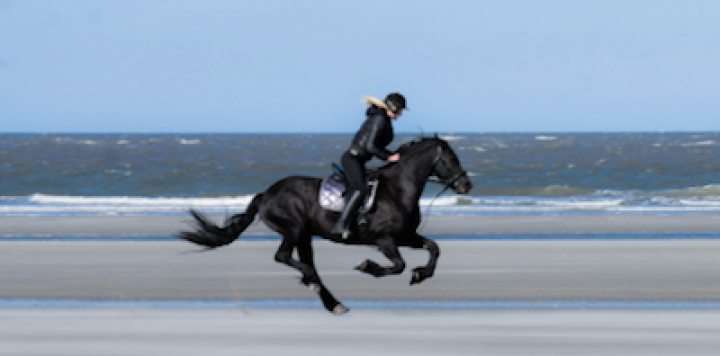 Sterre Brans, Jugendliche auf Schiermonnikoog