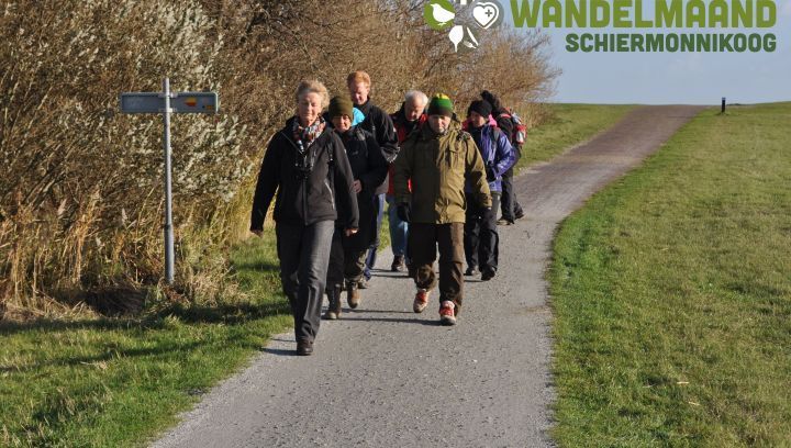 November-Wandermonatspaket Schiermonnikoog