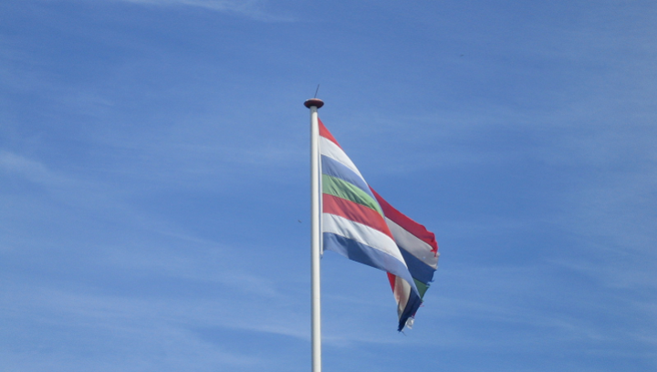 Vlag