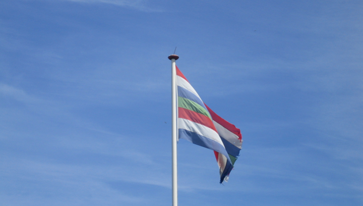Vlag