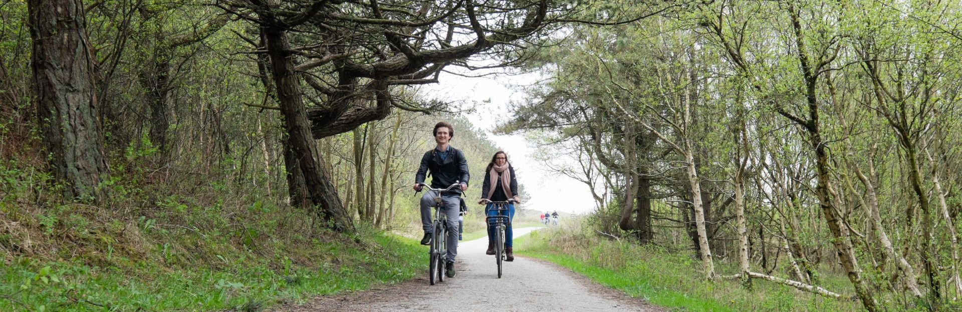 Wald am schiermonnikoog