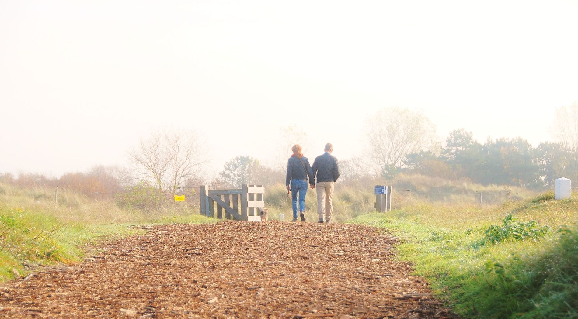 wandelen in november op Schiermonnikoog