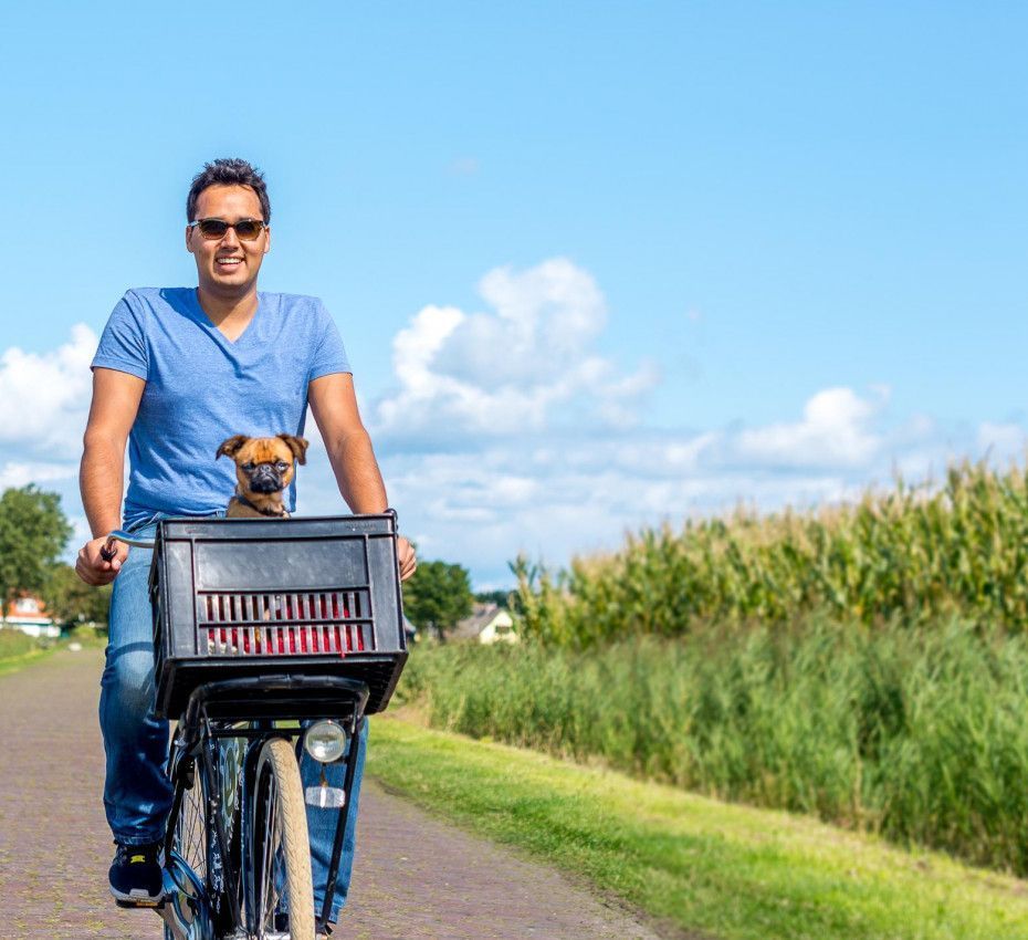 Radeln mit Hund auf Schiermonnikoog
