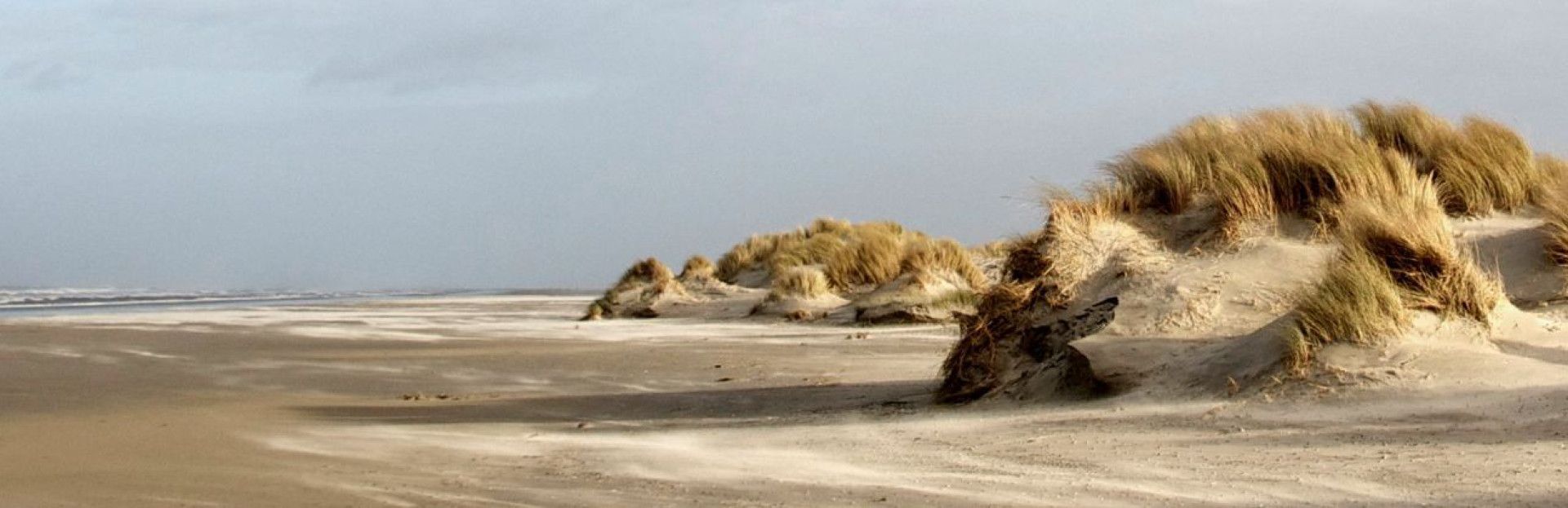 Schiermonnikoog hat eine wunderschöne Natur