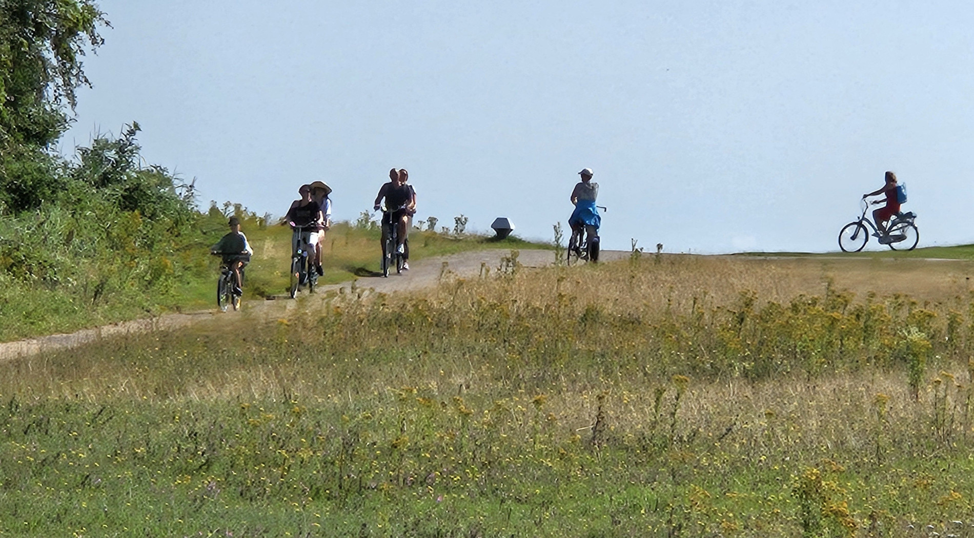 Banckspolder-Schiermonnikoog-Paradies-für-Vögel