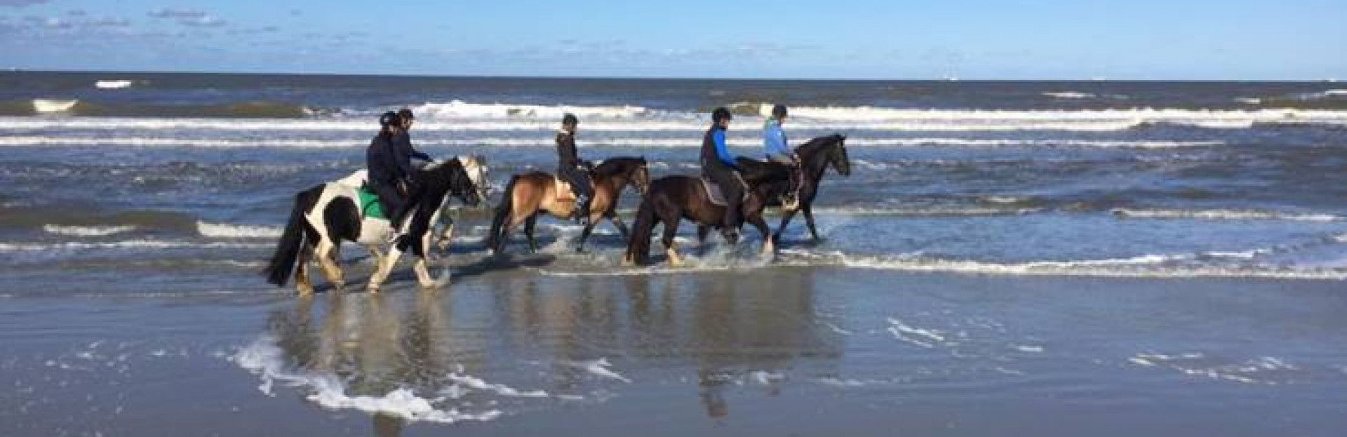 Paardrijden op Schiermonnikoog