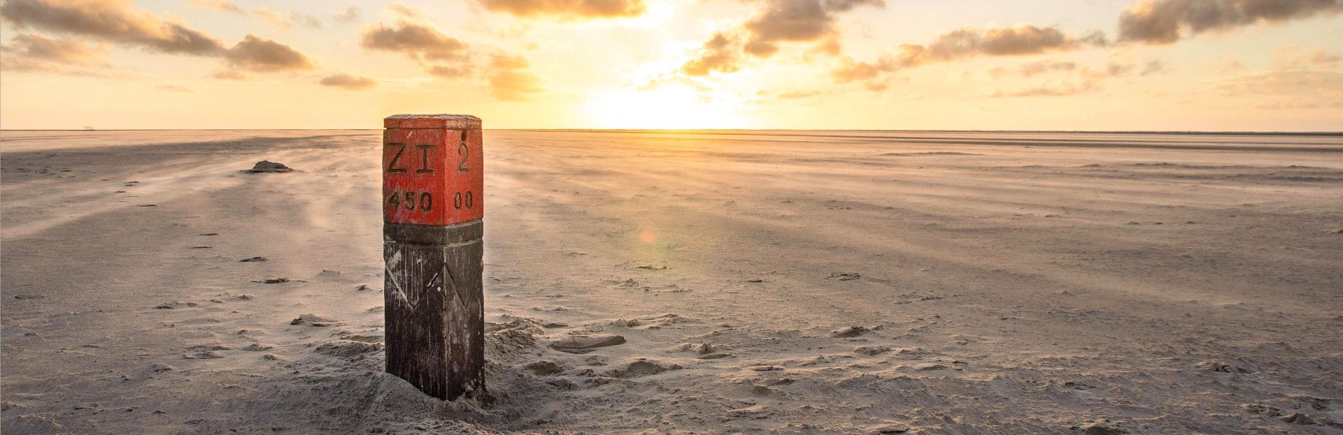 Strandpfähle entlang der Küste Schiermonnikoogs