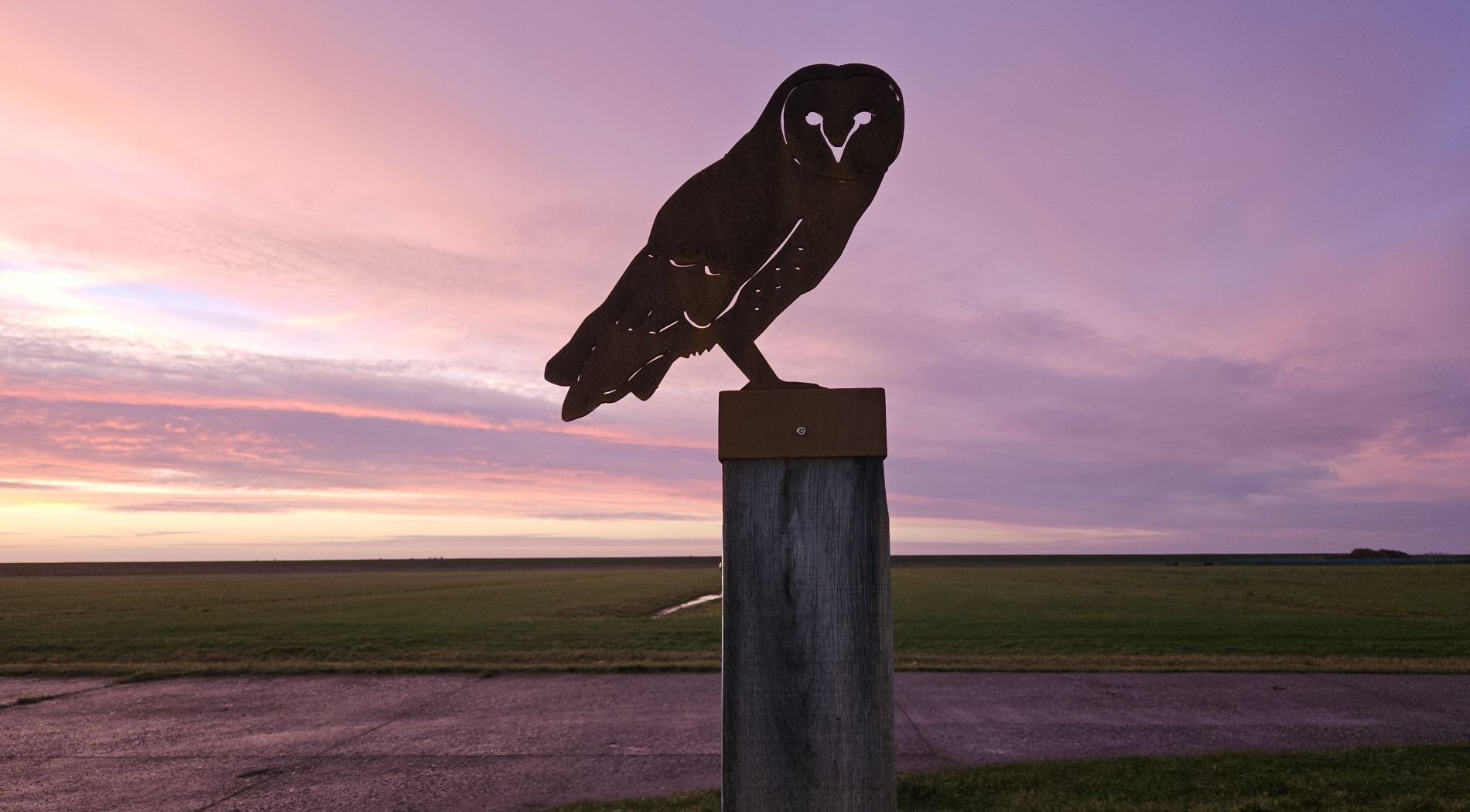 Banckspolder-Schiermonnikoog-Paradies-für-Vögel