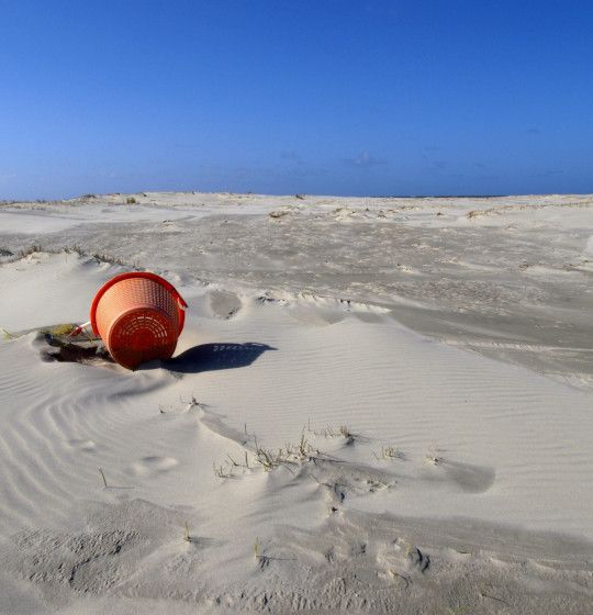 Strand Schiermonnikoog