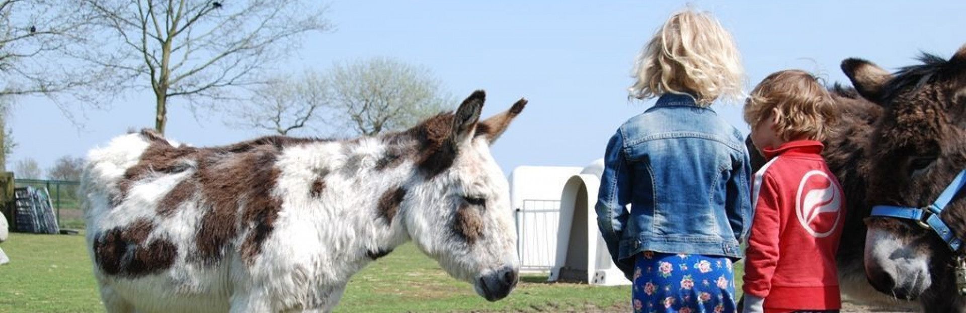 Dier- en speelweide Witte Winde