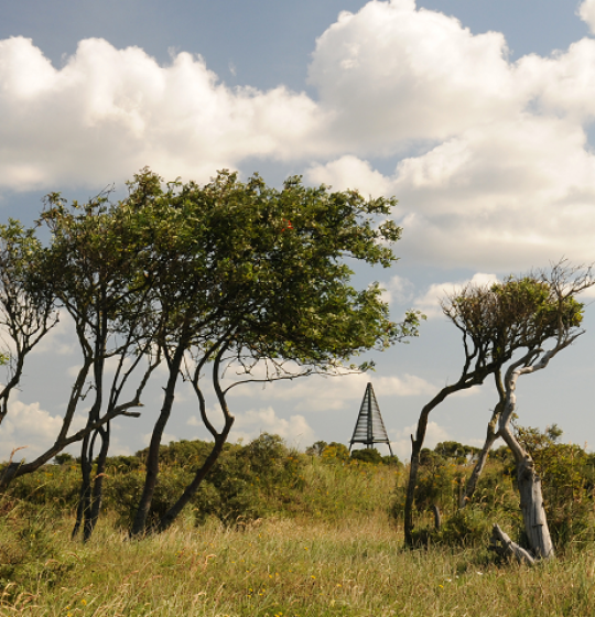 National Park Schiermonnikoog