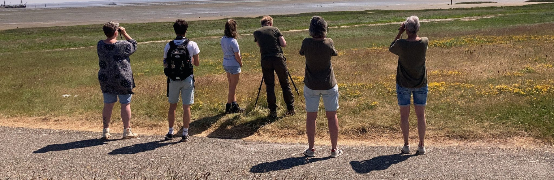 Schiermonnikoog-Banckspolder-Natur-und-Vögel
