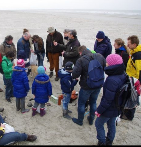 Strandgut und Muscheln entdecken auf Schiermonnikoog
