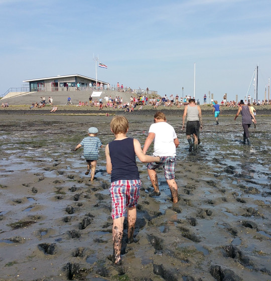 Wattwanderung auf Schiermonnikoog