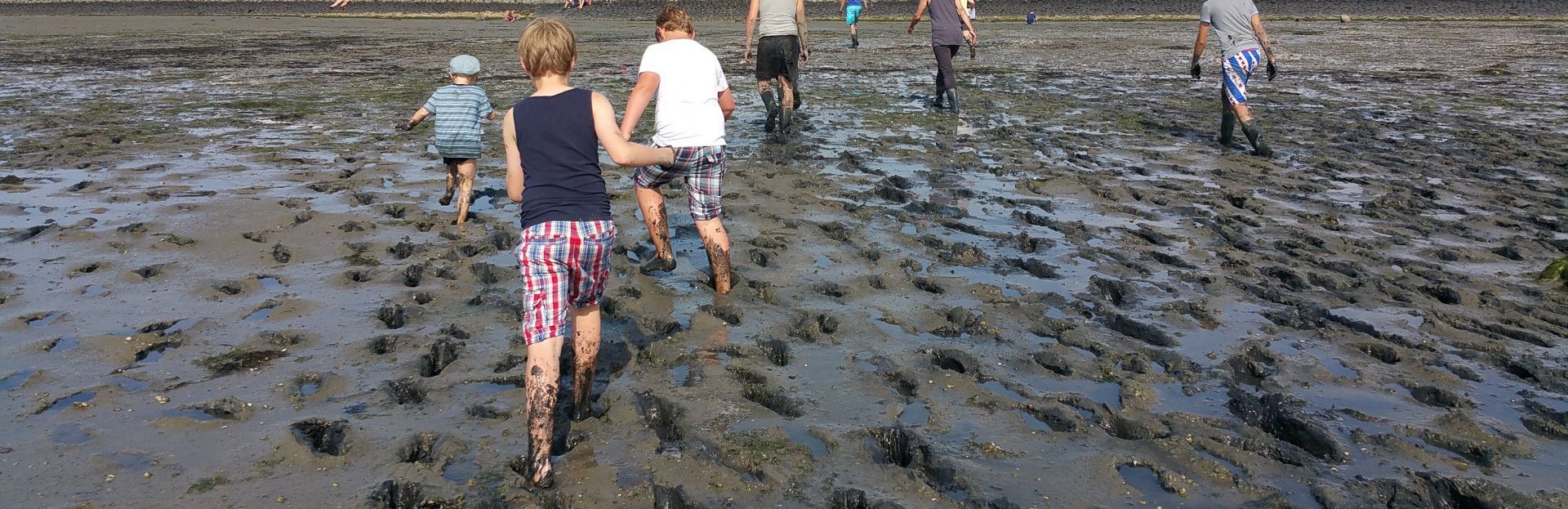 Wattexkursion auf Insel Schiermonnikoog