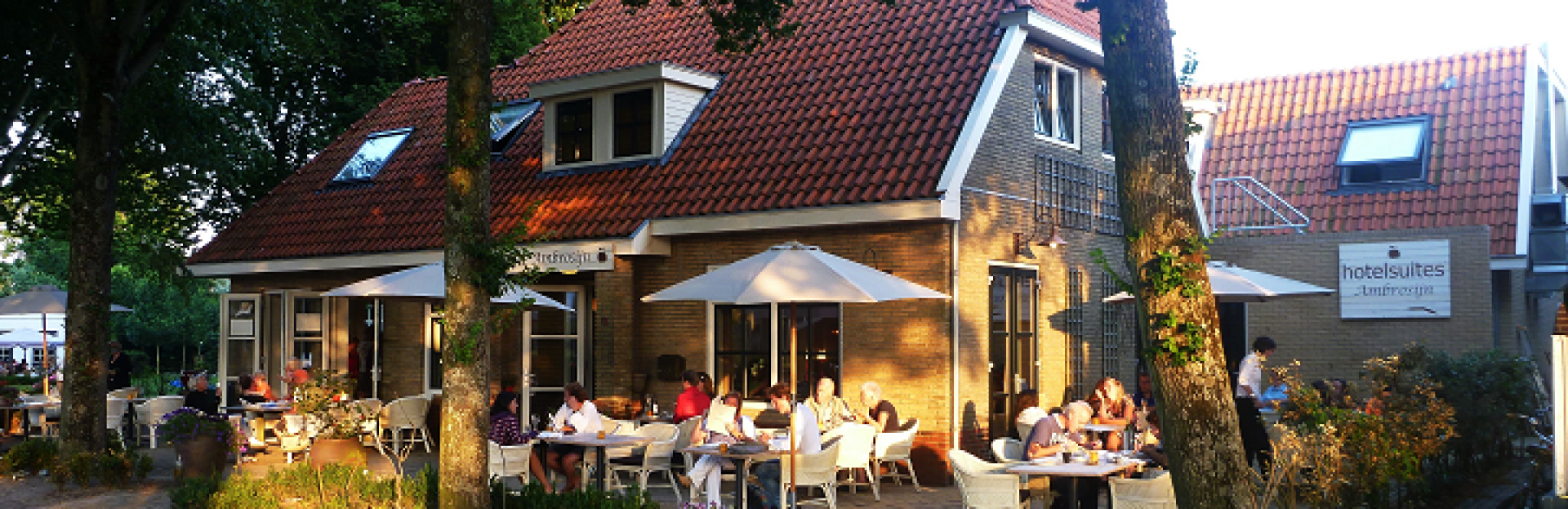 Ambrosijn