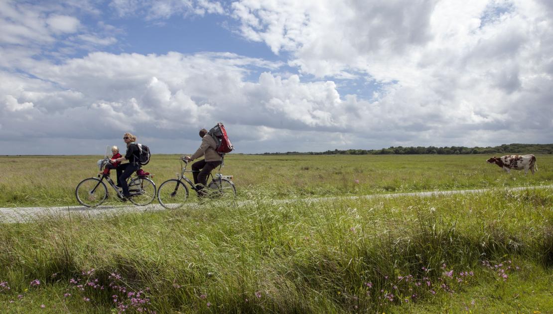 Radeln auf Schiermonnikoog