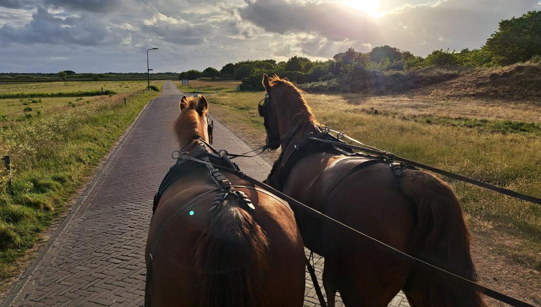 huifkartocht op Schiermonnikoog in en om het dorp